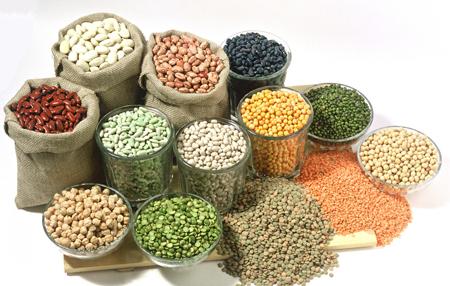 御寒食物 冬季养生 可以御寒的五大食物