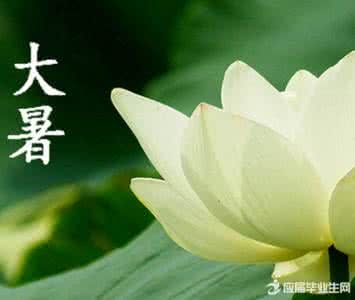 2017年大暑 2015羊年大暑祝福短信