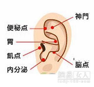 耳朵饥饿点 按按耳朵不饥饿　耳穴瘦身显高效