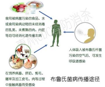 布鲁氏菌病怎么治疗 布鲁氏菌病怎么治疗 布鲁氏菌病的病因有哪些