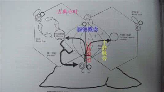 材料显微变形 显微构造