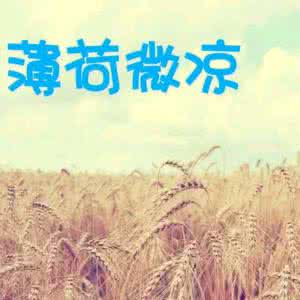 薄荷微凉的小说 薄荷微凉