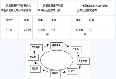 2009年高考语文复习大纲全方位解析(11)