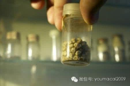 中医治疗胆结石验方 《金华龚氏胆结石治疗验方》