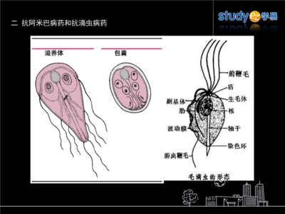 脱氧核糖核酸是什么 核酸是什么？会不会危害健康？