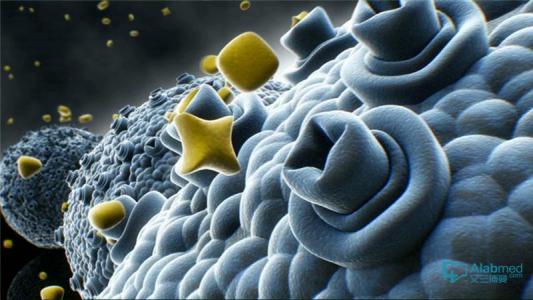 癌细胞研究 癌细胞会传染 Nature新研究 会传染的癌细胞