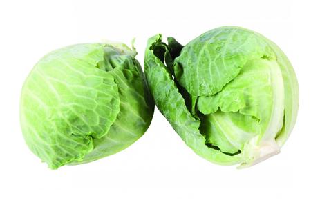 卷心菜抗癌 把“卷心菜”发发酵,抗癌力增10倍