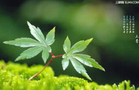 24节气立春 24节气