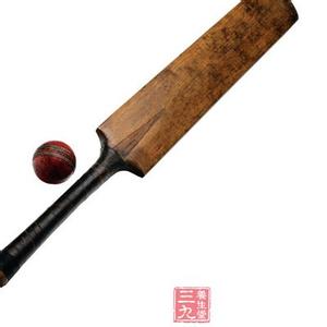 6.35板球打野猪视频 板球是什么 板球应该怎么打