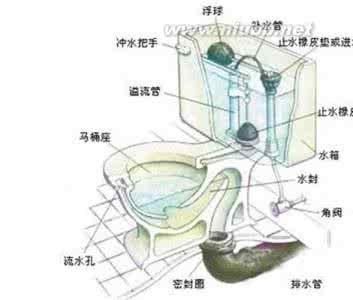 老式抽水马桶结构图 老式抽水马桶结构图 老式马桶结构图 老式马桶结构图介绍