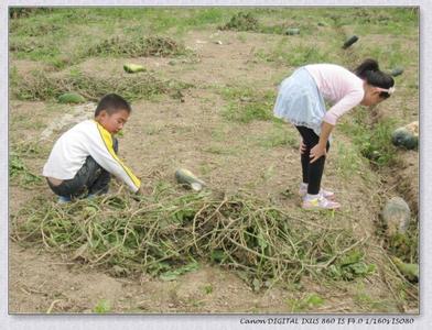 乡下孩子仿写 仿写乡下孩子第二段 《乡下孩子》二备