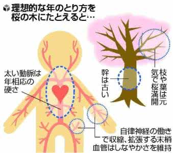 心脑血管疾病年轻化 如何让血管保持“年轻化”？