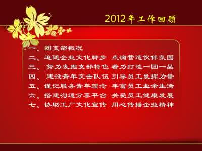 团支部年度工作总结 2015年度团支部工作总结