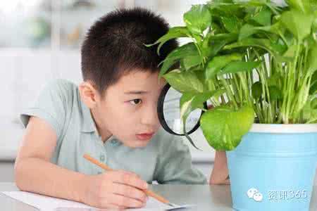 这十种孩子天生智商高 十四种孩子天生智商高
