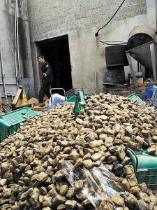 鹤壁原料药 非法生产食品原料 河南鹤壁黑作坊被取缔