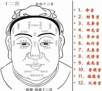 面相十二宫排图详解 面相十二宫详解，面相十二宫图