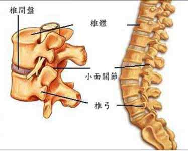 腰椎间盘突出特效药 转  腰椎间盘突症特效方--国家专利