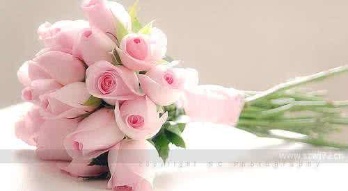 温暖心灵的情感美文 心花嫣然,馨香四季【情感美文】