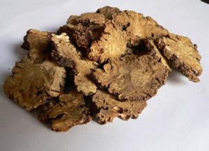 川芎用量 再议川芎之用量