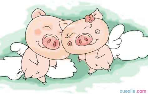 猪八戒哲理 一 只 猪 的 哲 学 ！