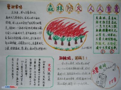 森林防火人人有责 森林防火手抄报 森林防火人人有责手抄报