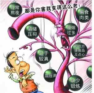 心血管支架患者饮食 血管支架保护伞 心血管的天然保护伞!粥里加它,血管通了,营养全补回来!