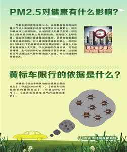 鱼肚 鱼肚知识介绍