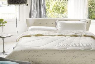 暖和暖和照样子写词语 被芯怎么选 什么样的被芯才暖和