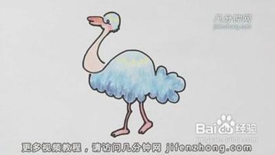 鼎共有几画 鸵鸟不会飞共有几画? 鸵鸟什么意思?
