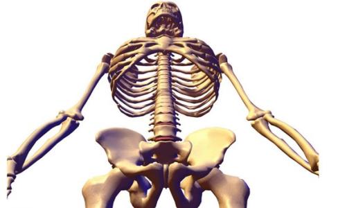 带有身体器官的成语 身体器官有使用期限