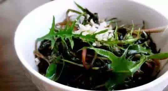 春天吃什么养生排毒 它是春天最好的“排毒草;吃一吃很有必要!!!