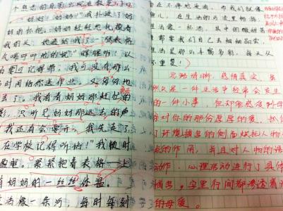 情感交流 情感交流 作文批改要注重写法和情感的交流