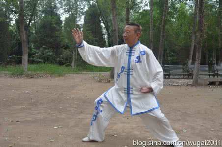 爷爷爱打太极拳 一个打五个,中国人为什么爱太极拳?