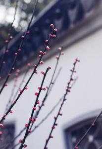 不贪不嗔不痴 美文雅句：不贪，欲念少；不嗔，心易平；不求，常知足。遇上了，请珍惜；别过了，道珍重。