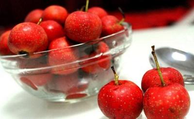 幼儿脾胃弱吃山楂糕 幼儿吃山楂的好处