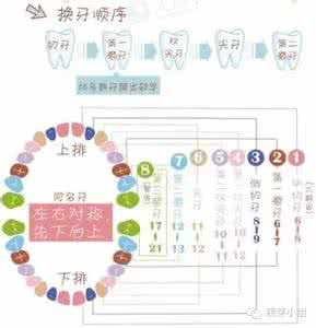 儿童换牙顺序图 儿童换牙总攻略
