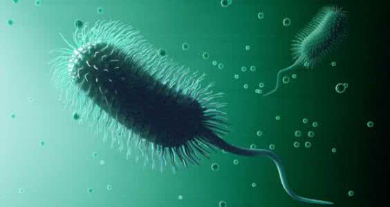 洗牙的利与弊 孔雀开屏 孔雀开屏利与弊