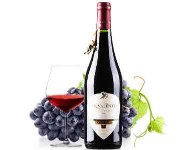 买桃乐丝葡萄酒的网站 买桃乐丝葡萄酒的网站 【桃乐丝红酒】桃乐丝知名葡萄酒推荐