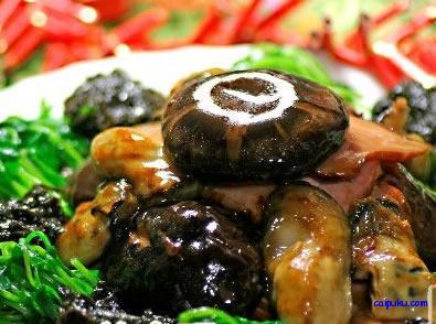 家庭餐桌 家庭餐桌必备的长寿菜【图文】