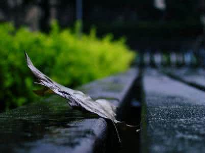 粗大的雨点落下来 雨落下来的时候