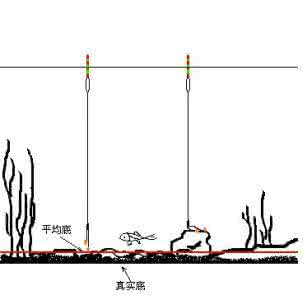 野钓黄尾 粗尾漂与平均底（野钓技法探索）