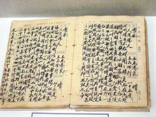 蒋介石日记 日记里的蒋介石(南方周末 2007-11-29)