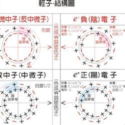 轻子数守恒 轻子数