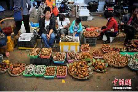 昆明野生菌批发市场 昆明野生菌批发市场 昆明严禁野生菌等高风险食品上桌