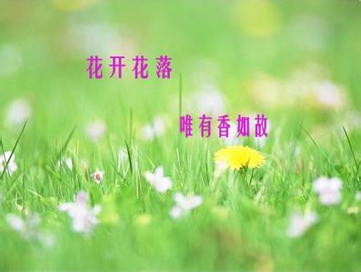 花开花落谁唱的 花开花落谁唱的 谁守候一路花开花落