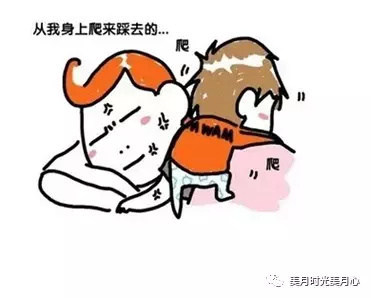 粑粑麻麻 “婴幼儿发育指标”新鲜出炉,粑粑麻麻请对号入座~