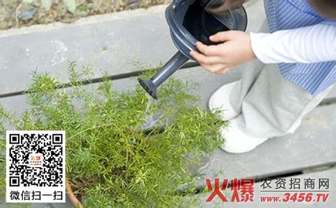 怎么判断见干见湿 见干见湿是什么意思