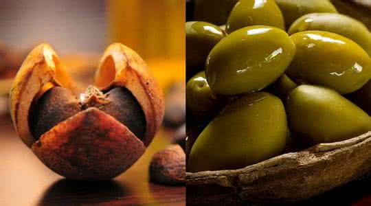 山茶油的发趋势 山茶油PK橄榄油