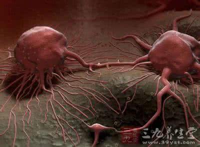 癌症研究 癌症研究的惊人发现