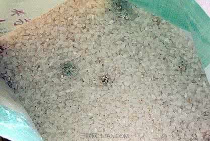 小秘密 绝技 | 6个种菜不失败的小秘密!